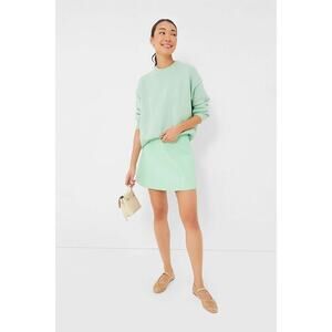 TUCKERNUCK Mint Chip Leather Meg Mini Skirt Size S NWT Retail $168 Tuckernuck
